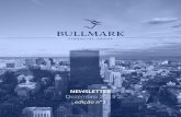 Bullmark newsletter Dez-2015 Ed. N.°1