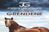 3º LEILÃO CABANHA GRENDENE & CONVIDADOS