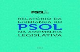 Relatório da Liderança do PSOL 2015