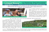 Nossa Roça nº 9: O Sistema Agroflorestal do Vicente e da Lucmar