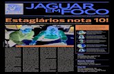 Jornal Jaguar em Foco Ed. 51