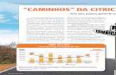 Article - Hortifruti Brasil magazine - May, 2016 (issue 156)