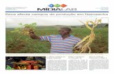 Jornal Midia lab: Edição 8 - Por IREX-Moçambique