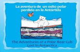 La aventura de un osito polar perdido en la antartida