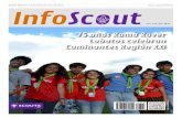 InfoScout Nº323