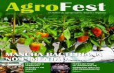 Magazine AgroFest - Junho/Julho 2016