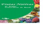 Livro Frutas Nativas da região centro-oeste do Brasil.pdf