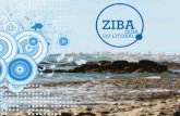 Guia ZIBA 2013