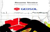 Resumo Técnico: Perfilagem Geofísica – GEOSOL