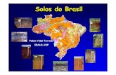 Solos do Brasil