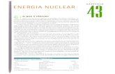 Energia Nuclear 43