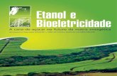 Etanol e bioeletricidade : a cana-de-açúcar no futuro da matriz ...