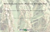 Doenças em Arroz Irrigado: Processo da Produção Integrada 35
