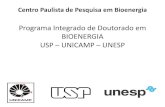 Programa Integrado de Doutorado em BIOENERGIA USP ...