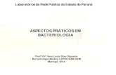 Aspectos Práticos em Bacteriologia - Prof.Drª Vera L. D. Siqueira