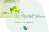 Roberto Giolo de Almeida – Sistemas agroflorestais e recuperação ...