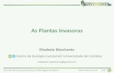 Elizabete Marchante - As Plantas Invasoras