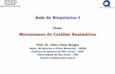 Aula de Bioquímica I Mecanismos de Catálise Enzimática