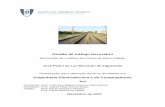Gestão de tráfego ferroviário Engenharia Electrotécnica e de ...