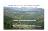Métodos y técnicas para la restauración de bosques
