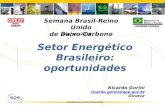 Palestra Magna – Setor Energético Brasileiro