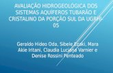 Avaliação Hidrogeológica dos Sistemas Aquíferos Tubarão e Cristalino da Porção Sul da UGRHI-05