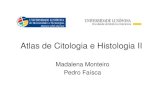 Atlas de Citologia e Histologia II
