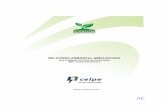 Relatório Ambiental Simplificado para Instalação de Linha de ...