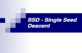 SSD - Single Seed Descent