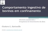 Comportamento Ingestivo de bovinos em confinamento_Gustavo L.pdf
