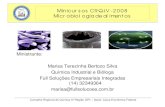 Minicursos CRQ-IV - 2008 Microbiologia de alimentos