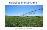 Parte 2 - Relação Planta - Clima
