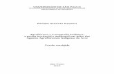 Agrofloresta e cartografia indígena: a gestão territorial e ambiental ...