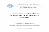 Tese Mestrado em Engenharia Biomédica - João Dinis .pdf