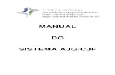 Manual do Sistema AJG