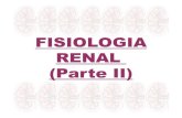 Fisiologia Renal II e III 2010 [Modo de Compatibilidade]