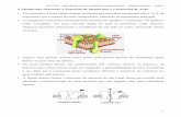 A Membrana Neuronal, o Potencial de Membrana e o Potencial de ...