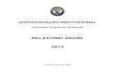 Relatório Anual CPA 2013