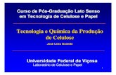 Tecnologia e química da produção de celulose
