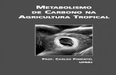 Metabolismo de Carbono na Agricultura Tropical.pdf