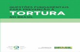 Questões Fundamentais para Prevenção à Tortura no Brasil
