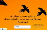 A origem, evolu§£o e diversidade da fauna do Bioma Pantanal