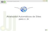 Analisador Automáticos de Sites para o .br - CEPTRO.br