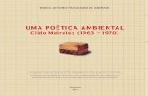 UMA POÉTICA AMBIENTAL Cildo Meireles (1963 – 1970)