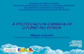 A proteção da camada de Ozônio no Brasil - Magna Luduvice