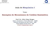 Aula de Bioquímica I Exemplos de Mecanismos de Catálise ...