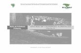 relatório da oficina 2 - cavernas turísticas - parte ii