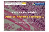 Atlas de Anatomia Patológica