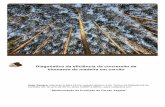 Diagnóstico da eficiência da conversão de biomassa de madeira ...