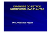 DIAGNOSE DO ESTADO NUTRICIONAL DAS PLANTAS - FNP 1 ...